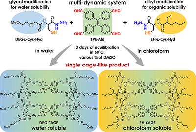 Tuning the Solubility of Self-Assembled Fluorescent Aromatic Cages Using Functionalized Amino Acid Building Blocks